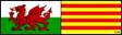 0003_delw_baneri_cymru_catalonia_050111