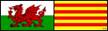 7306_delw_baneri_cymru_catalonia_050111_090121