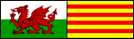 0003g_delw_baneri_cymru_catalonia_050111