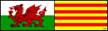 7306_delw_baneri_cymru_catalonia_050111_090121