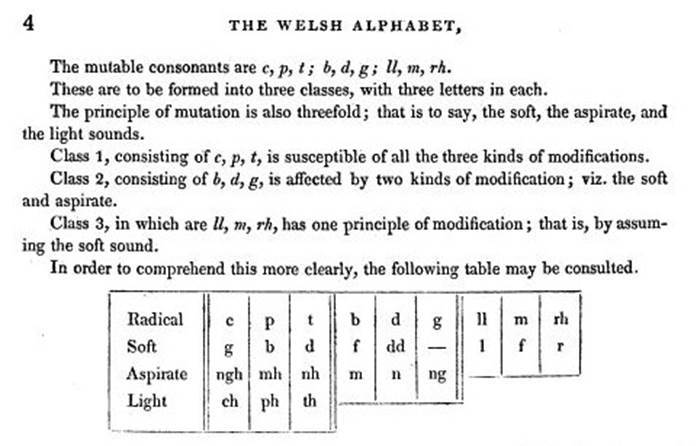 A close-up of a book

AI-generated content may be incorrect.