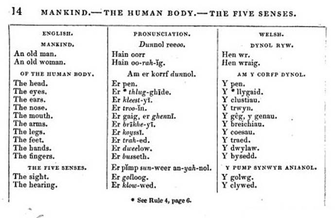 A close-up of a chart

AI-generated content may be incorrect.