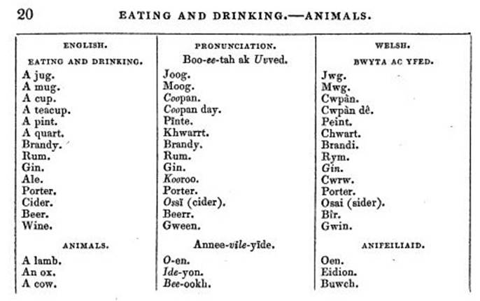 A table of food and drinks

AI-generated content may be incorrect.