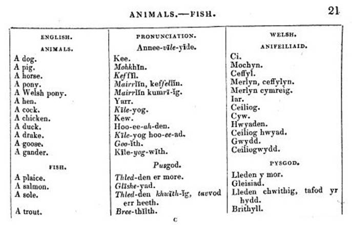 A table of words with text

AI-generated content may be incorrect.