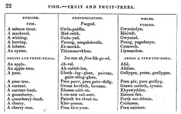 A close-up of a chart

AI-generated content may be incorrect.