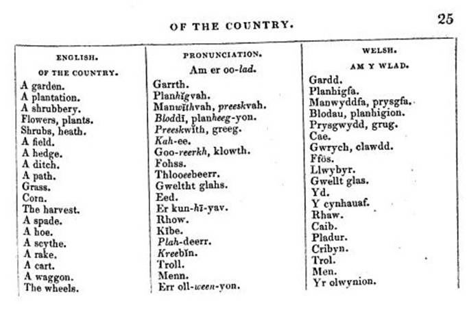 A close-up of a list of languages

AI-generated content may be incorrect.