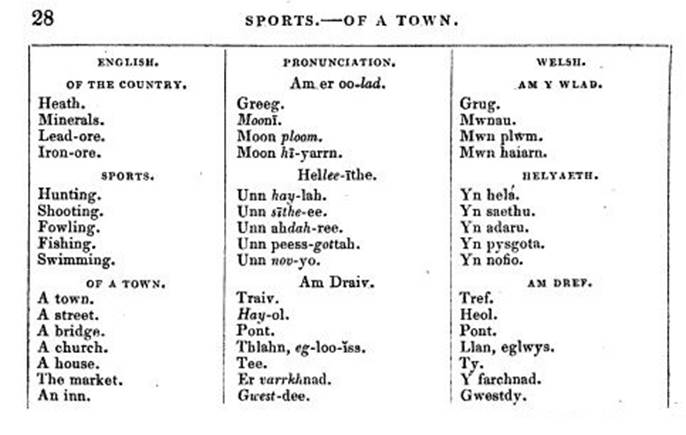 A close-up of a sports chart

AI-generated content may be incorrect.