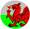 0084_cylch_baner_cymru_llwyd