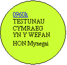 Oval: 0960k 
TESTUNAU CYMRAEG YN Y WEFAN HON Mynegai 
