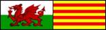 A red dragon on a green and yellow flag

Description automatically generated
