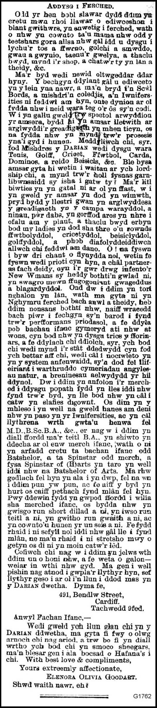 A picture containing bird

Description automatically generated