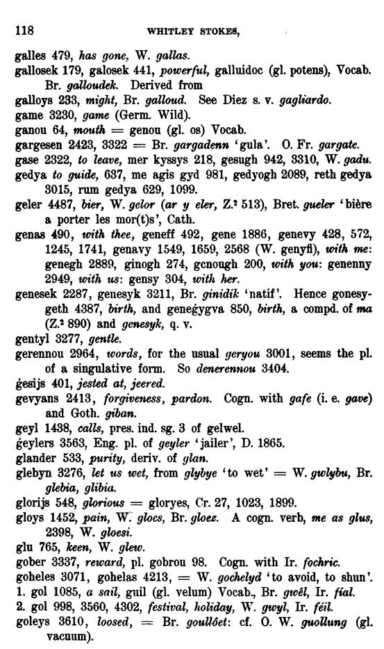 D6315_keltische-lexicographie_1898_bewnanz-meriazeg_whitley-stokes_118z.tif
