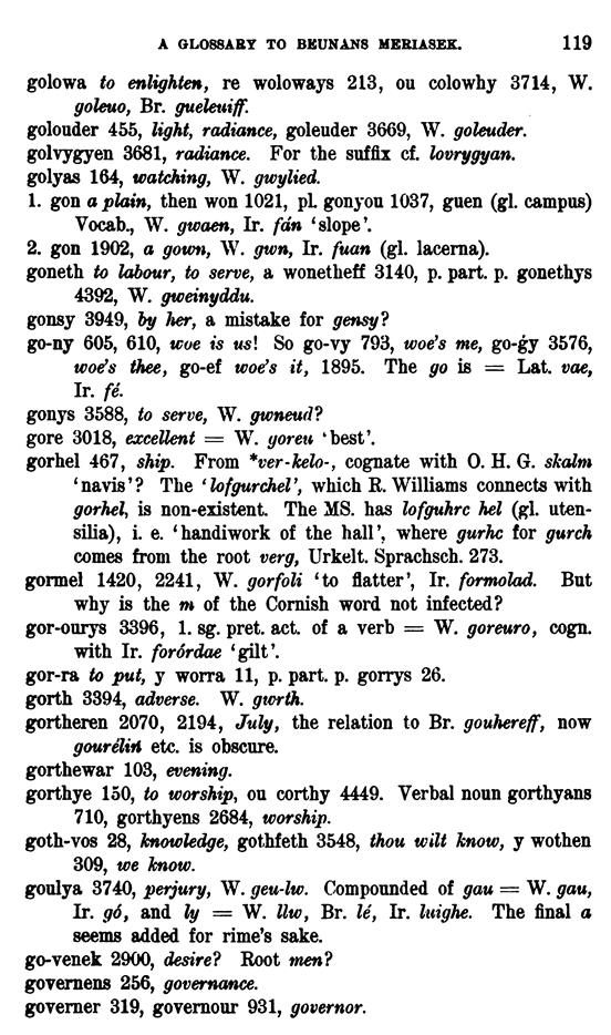 D6316_keltische-lexicographie_1898_bewnanz-meriazeg_whitley-stokes_119