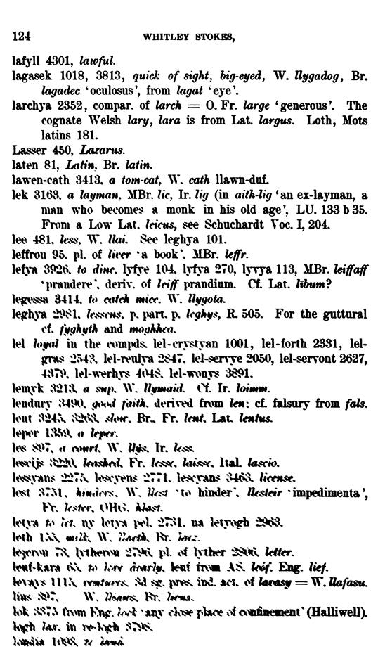 D6321_keltische-lexicographie_1898_bewnanz-meriazeg_whitley-stokes_124z.tif