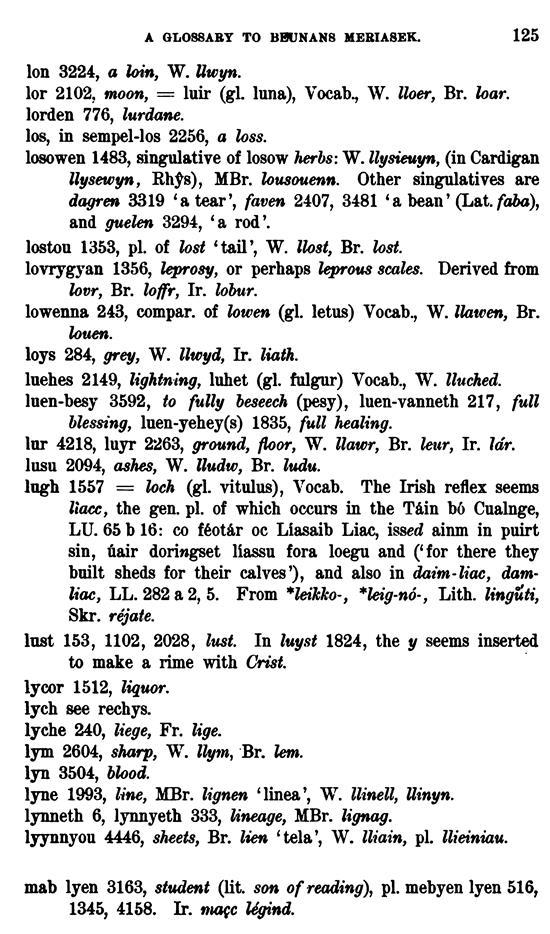 D6322_keltische-lexicographie_1898_bewnanz-meriazeg_whitley-stokes_125z.tif