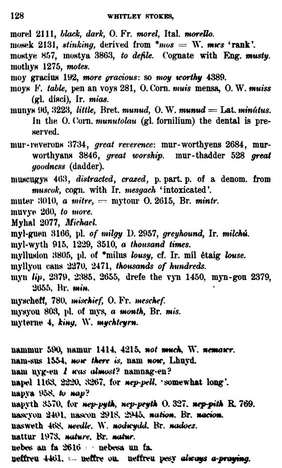 D6325_keltische-lexicographie_1898_bewnanz-meriazeg_whitley-stokes_128z.tif