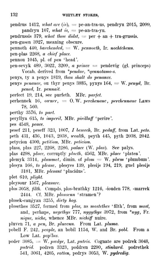 D6329_keltische-lexicographie_1898_bewnanz-meriazeg_whitley-stokes_132