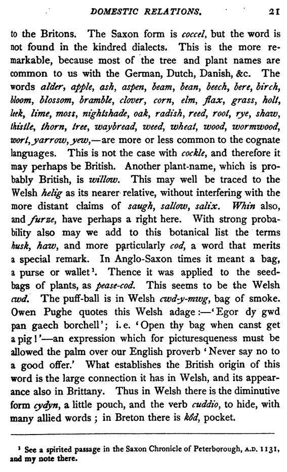 E6029_philology-of-the-english-tongue_earle_1879_3rd-edition_021.tif