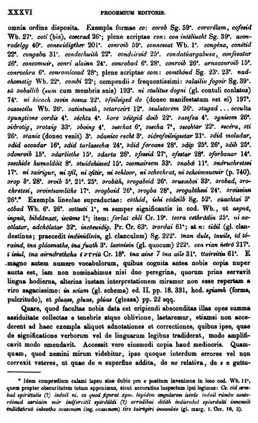 F8647_grammatica_celtica_zeuss_1871_a36.jpg