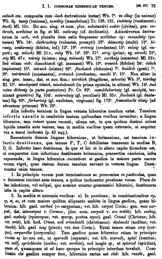 F8738_grammatica_celtica_zeuss_1871_0075.tif