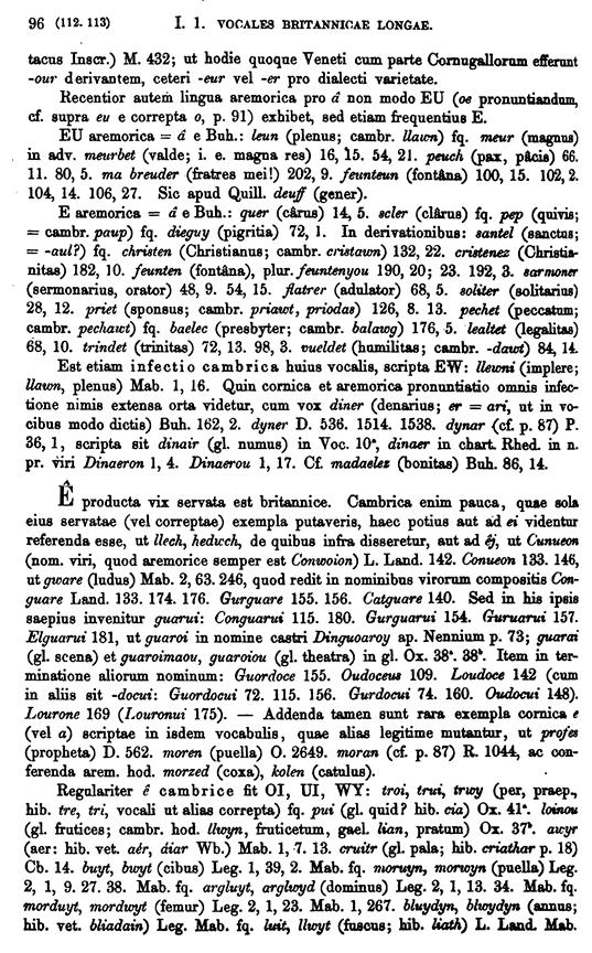 F8759_grammatica_celtica_zeuss_1871_0096.tif