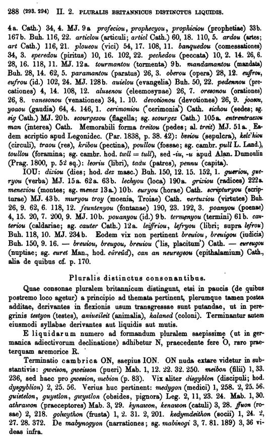 F8945_grammatica_celtica_zeuss_1871_0282.tif