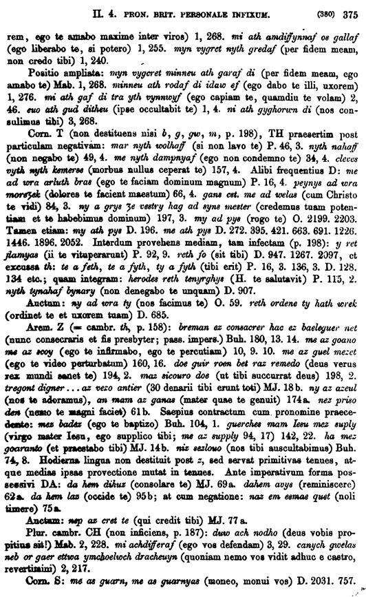 F9038_grammatica_celtica_zeuss_1871_0375.tif