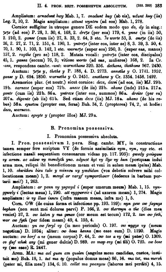 F9046_grammatica_celtica_zeuss_1871_0383.tif