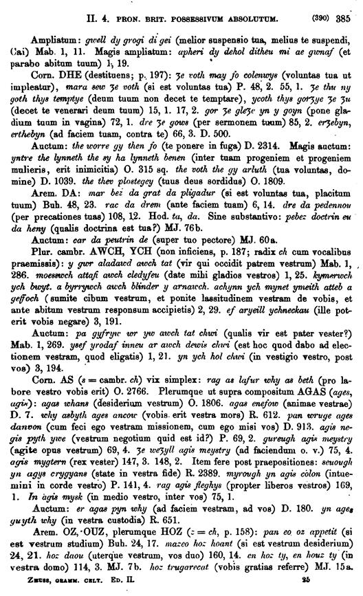 F9048_grammatica_celtica_zeuss_1871_0385.tif