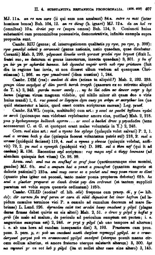 F9070_grammatica_celtica_zeuss_1871_0407.tif