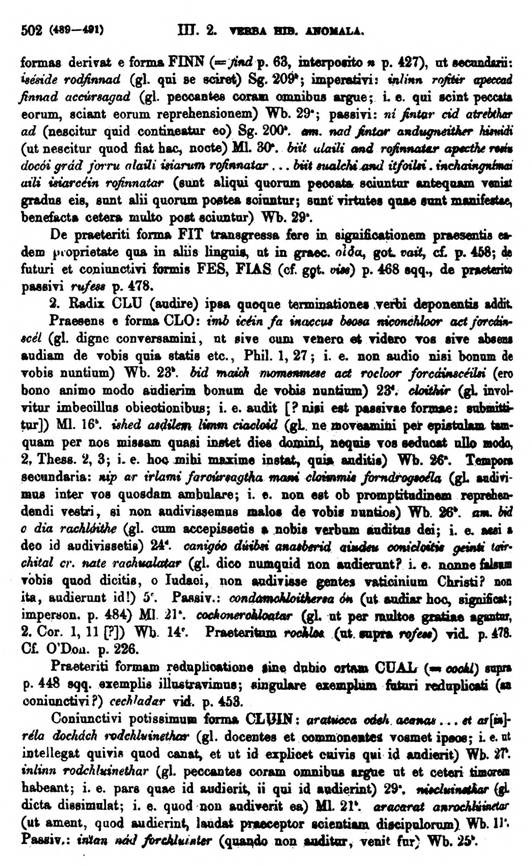 F9165_grammatica_celtica_zeuss_1871_0502.jpg