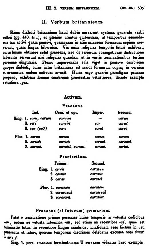 F9168_grammatica_celtica_zeuss_1871_0505.jpg