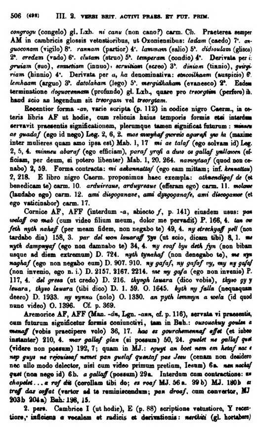 F9169_grammatica_celtica_zeuss_1871_0506.jpg