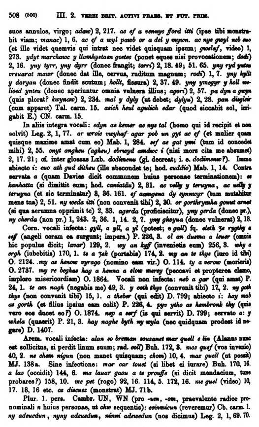 F9171_grammatica_celtica_zeuss_1871_0508.jpg