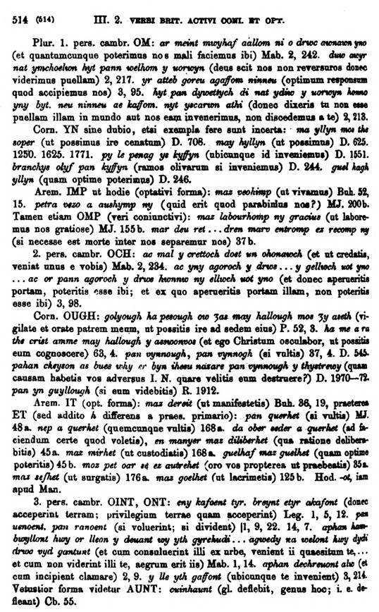 F9177_grammatica_celtica_zeuss_1871_0514.jpg