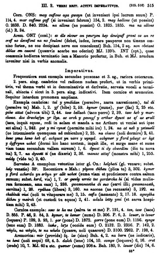 F9178_grammatica_celtica_zeuss_1871_0515.jpg