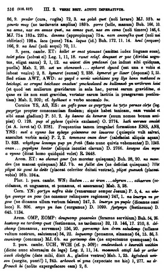 F9179_grammatica_celtica_zeuss_1871_0516.jpg