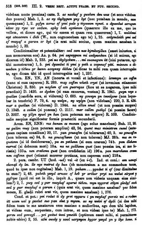 F9181_grammatica_celtica_zeuss_1871_0518.jpg