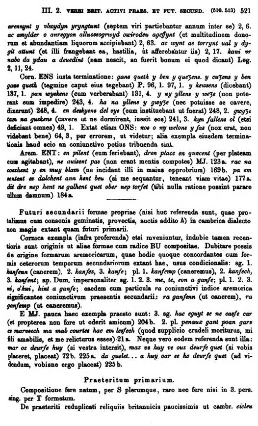 F9184_grammatica_celtica_zeuss_1871_0521.jpg