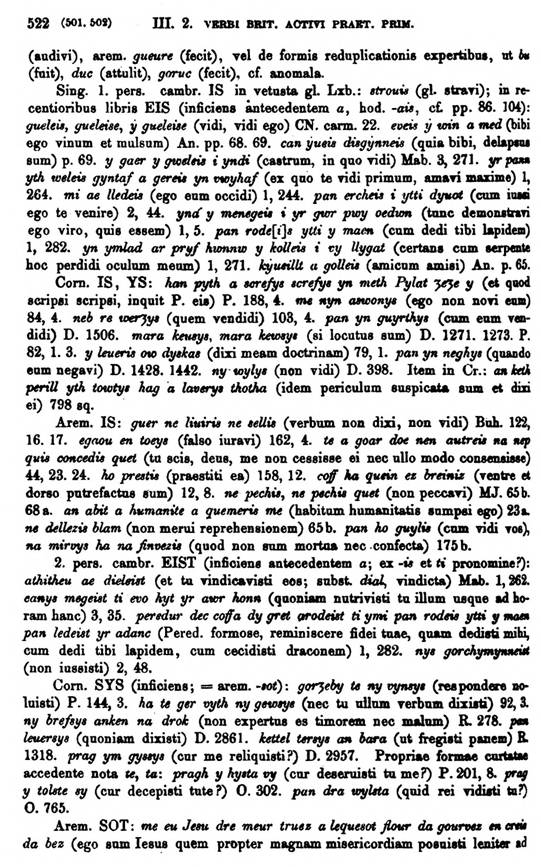 F9185_grammatica_celtica_zeuss_1871_0522.jpg