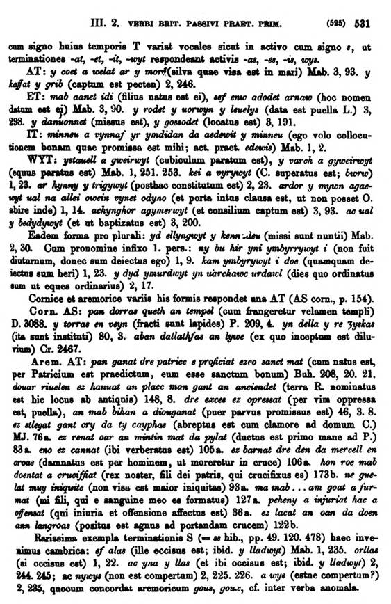 F9194_grammatica_celtica_zeuss_1871_0531.jpg