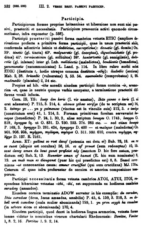 F9195_grammatica_celtica_zeuss_1871_0532.jpg