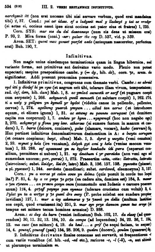 F9197_grammatica_celtica_zeuss_1871_0534.jpg