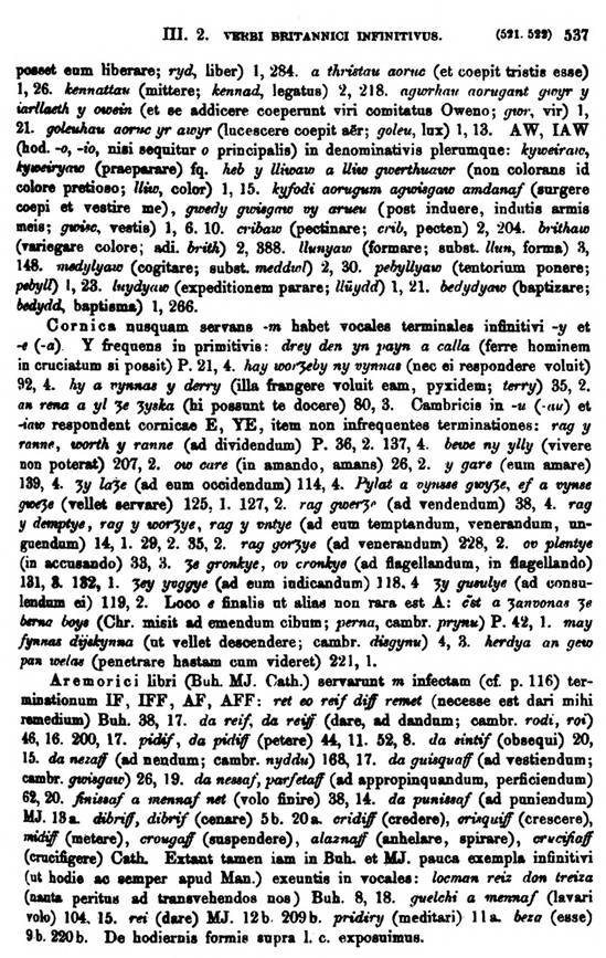 F9200_grammatica_celtica_zeuss_1871_0537.jpg