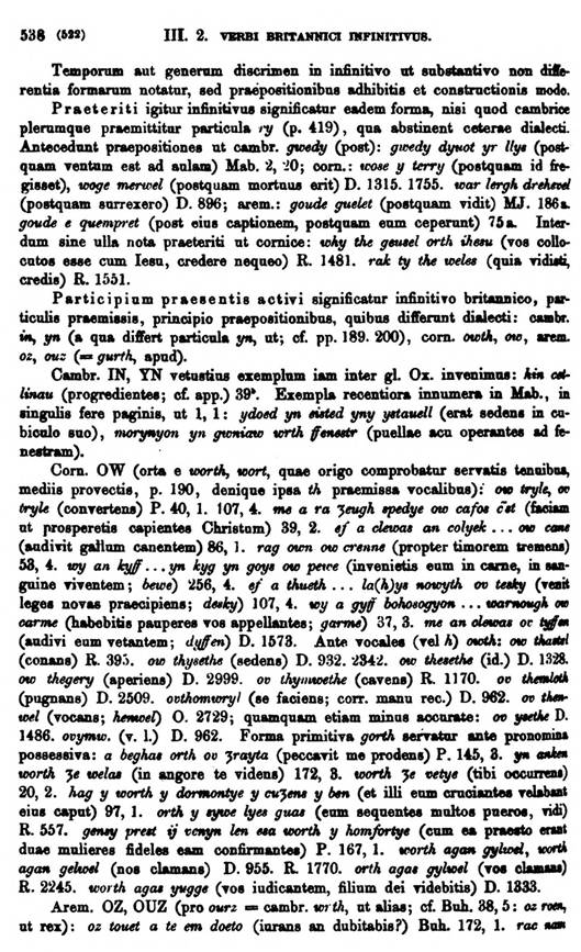 F9201_grammatica_celtica_zeuss_1871_0538.jpg