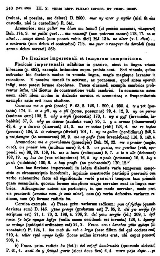 F9203_grammatica_celtica_zeuss_1871_0540.jpg