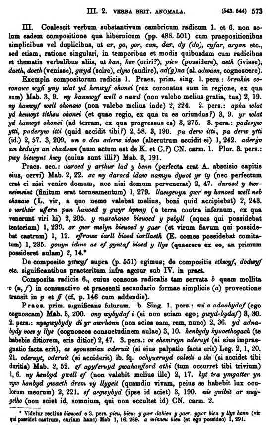 F9236_grammatica_celtica_zeuss_1871_0573.jpg