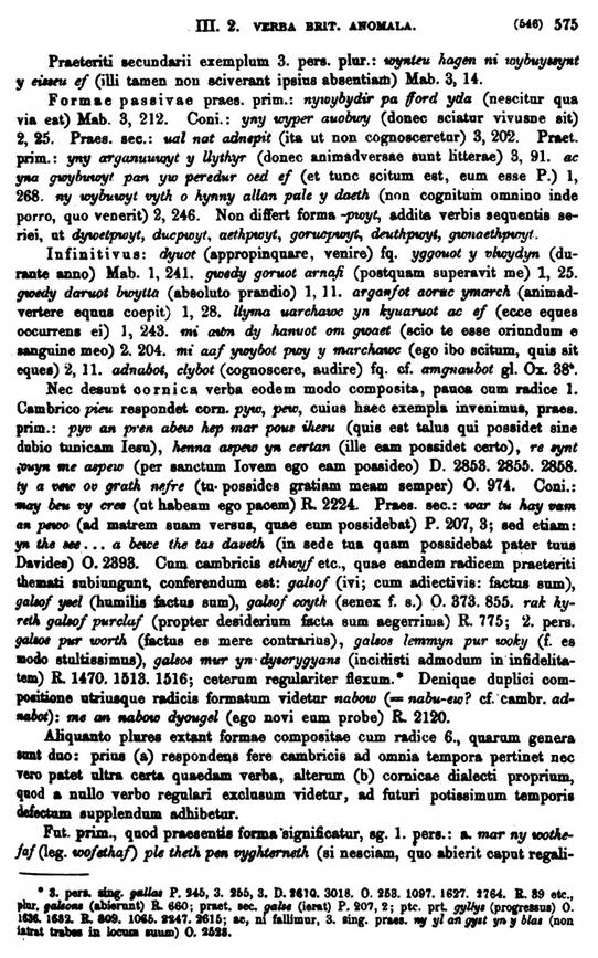 F9238_grammatica_celtica_zeuss_1871_0575.jpg