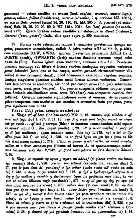 F9242_grammatica_celtica_zeuss_1871_0579.jpg