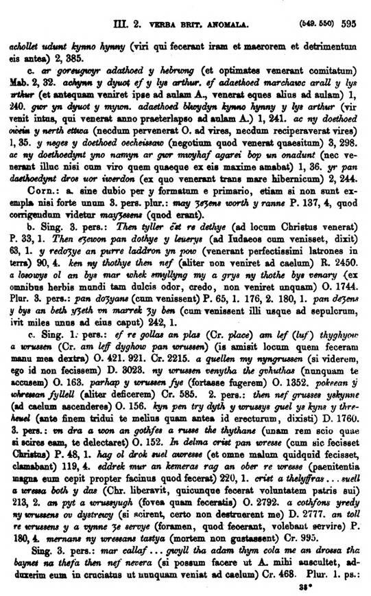 F9258_grammatica_celtica_zeuss_1871_0595.jpg